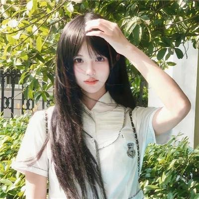 小鸡